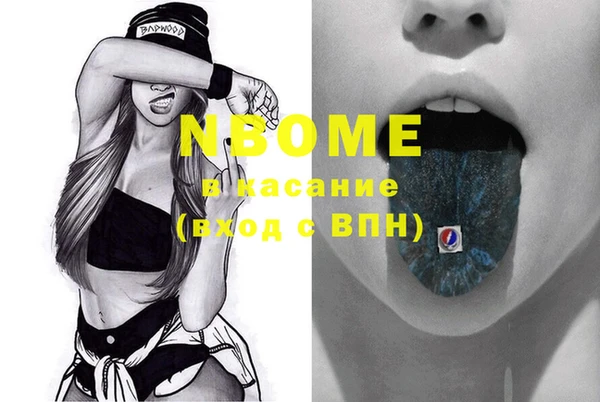 прущие грибы Чекалин