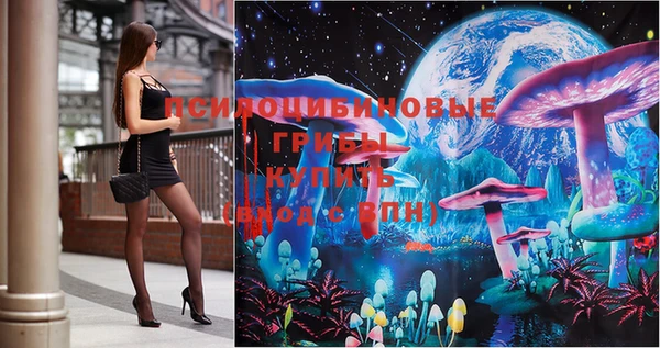 бутират Чердынь