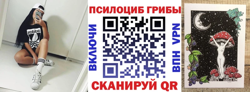 Купить  Электрогорск  Галлюциногенные грибы Psilocybine cubensis 